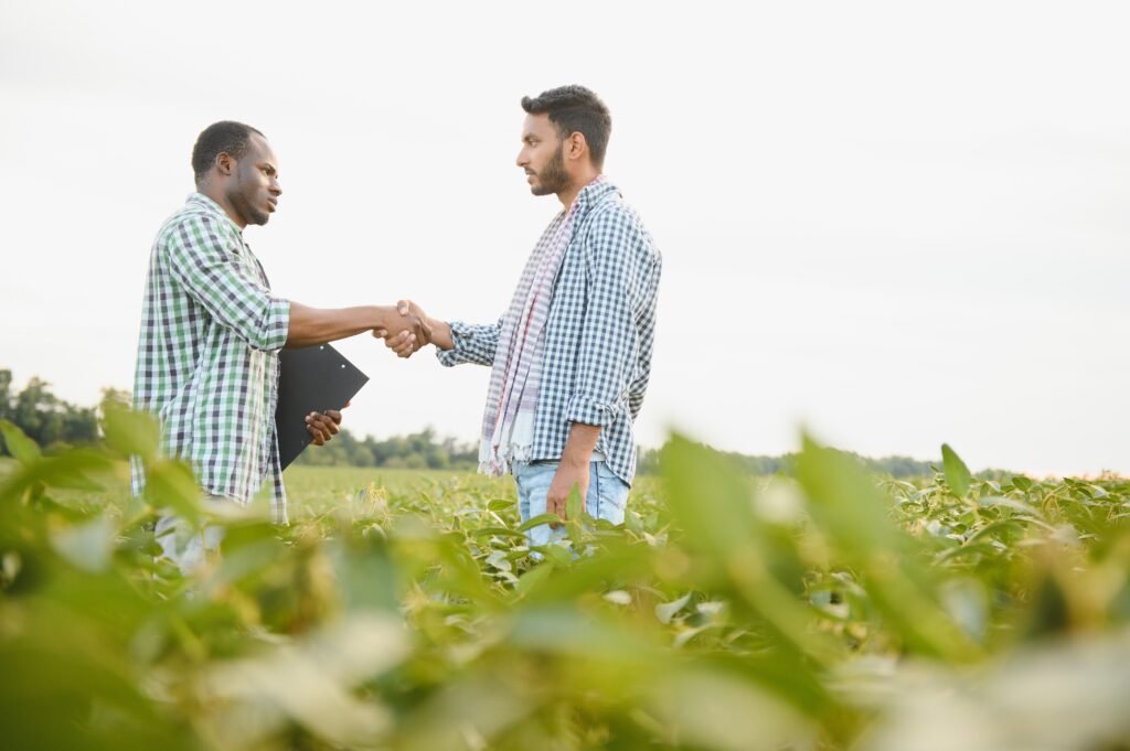 Organic farm produce