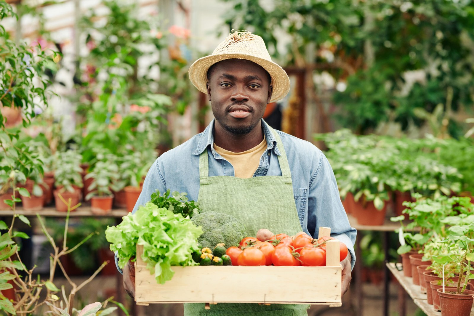 Organic Farm produce